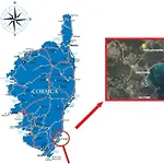 Morticcione 宗扎
